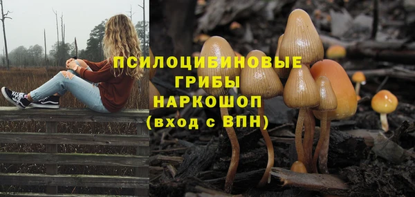 дурь Аркадак