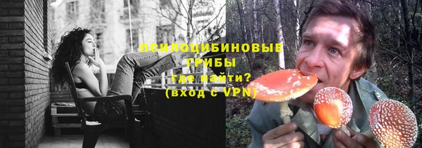 дурь Аркадак